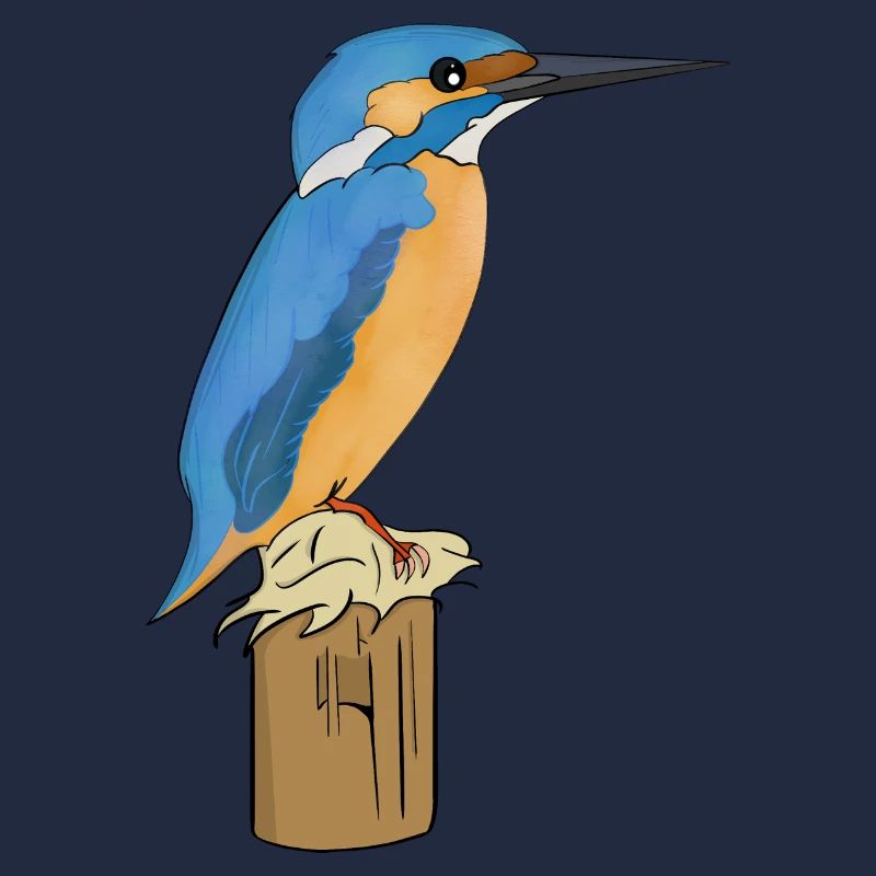 Eisvogel Vogel