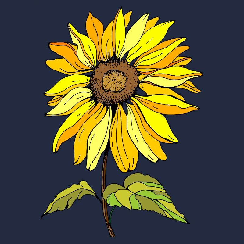 Blume