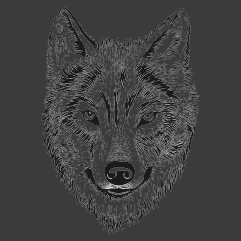 Dessin au trait de Wolfenkopf