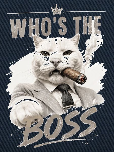 Katzenboss im Anzug