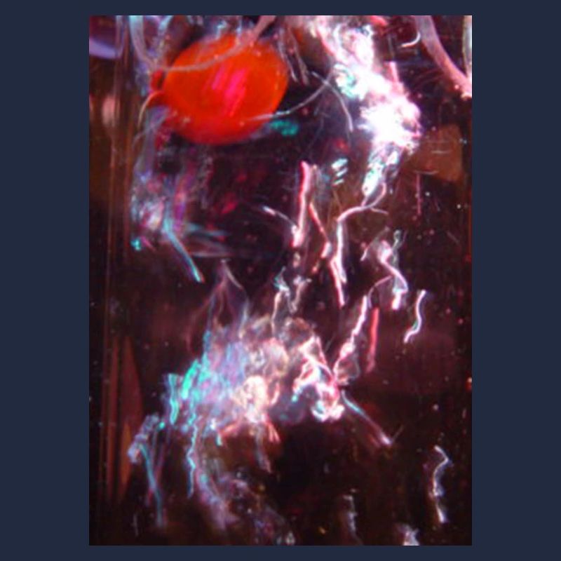 Neon-Fluid Spiegelung