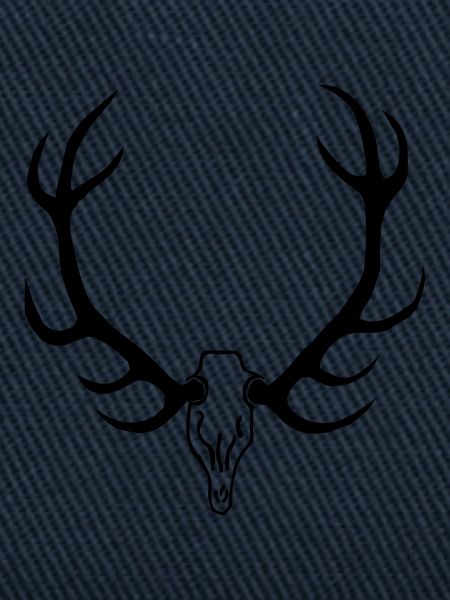 fellforst_geweih