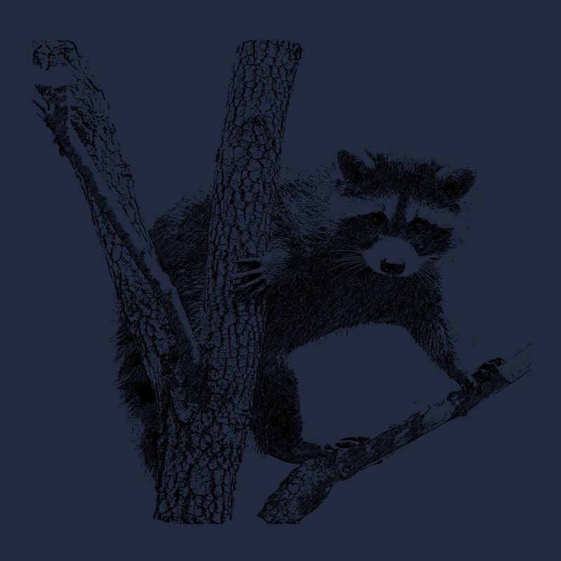 waschbär