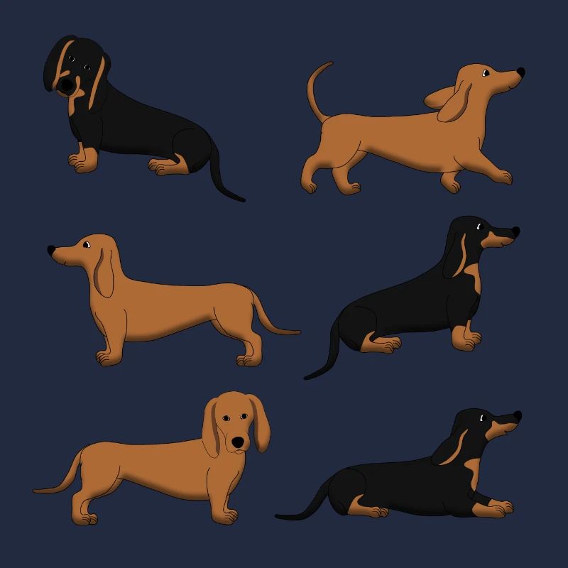 Dachshund selection