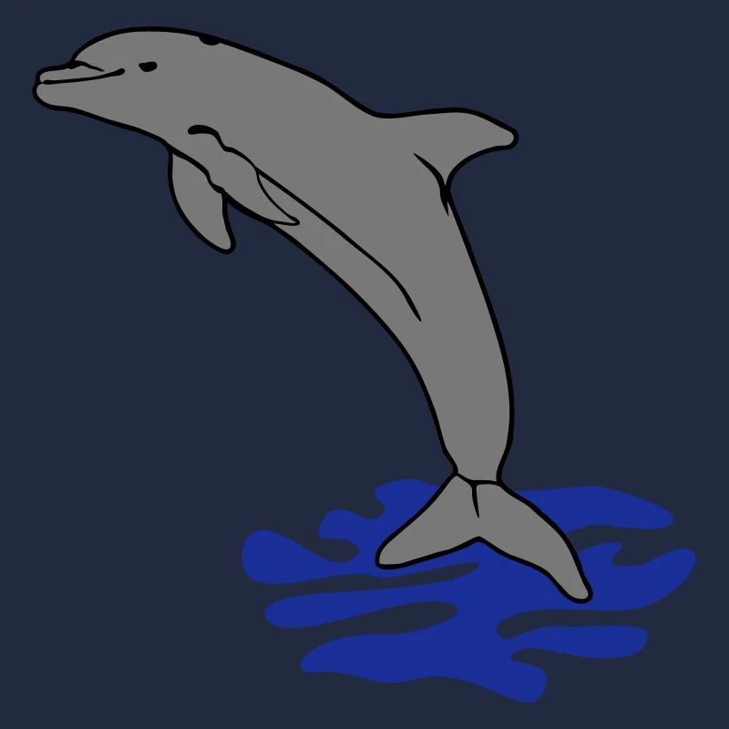 springender Delphin Delfin jumping dolphin