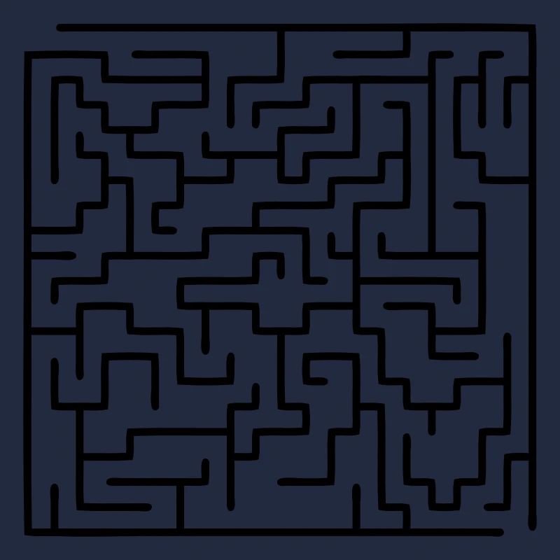 maze / labyrinth