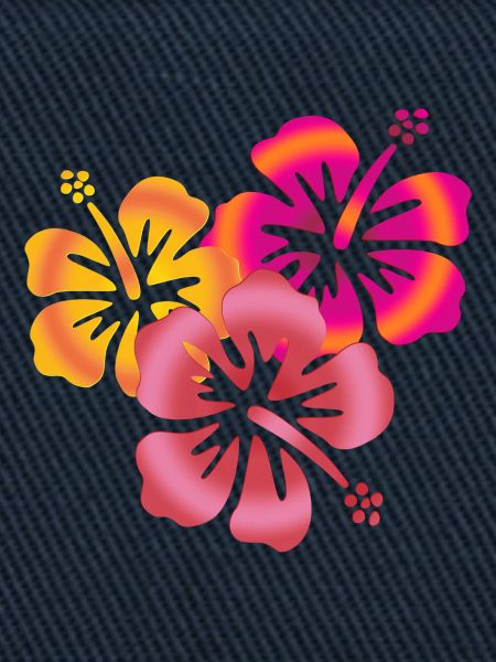 BALI Hibiscus flowers
