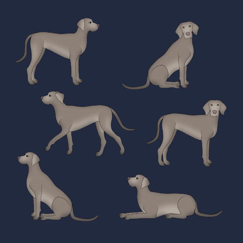 Weimaraner Auswahl