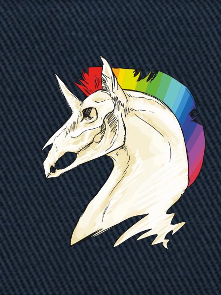 Einhorn Schädel