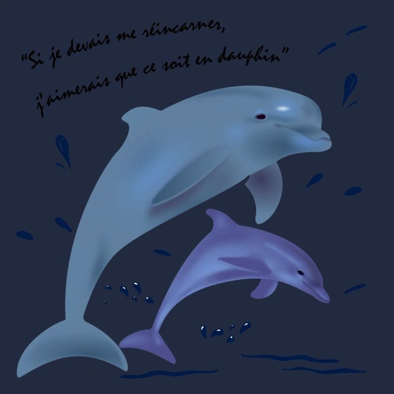 dauphins, citation