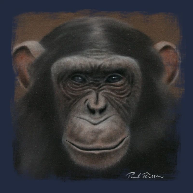 Chimpanzee