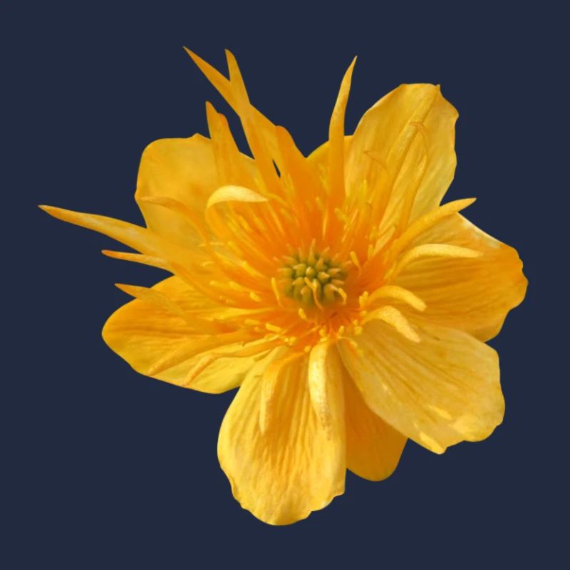 Flower de