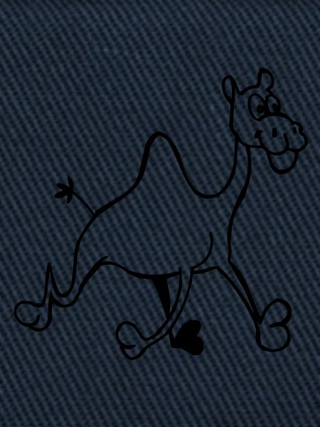 Funny Camel