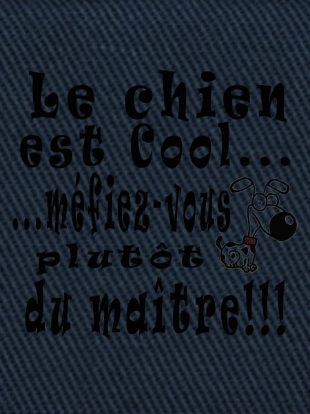 chien_cool_copie