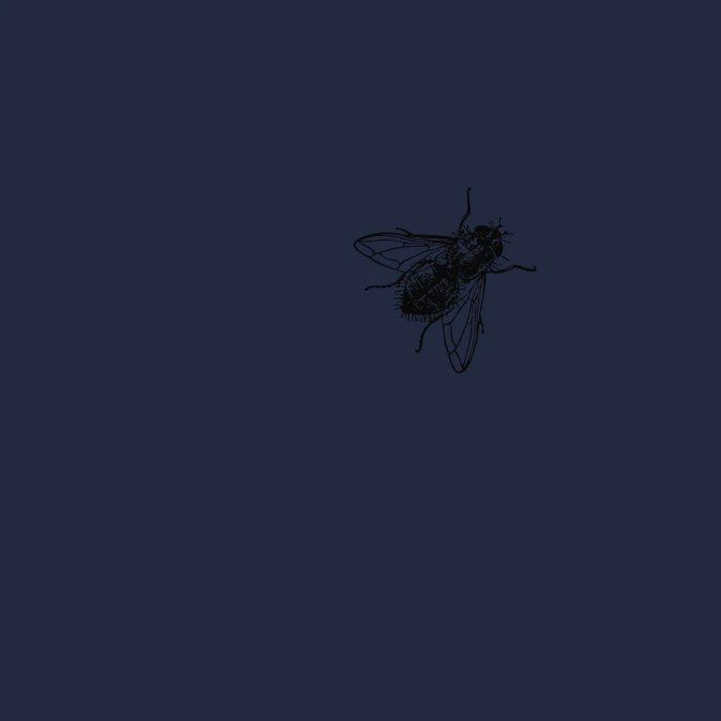 fliege