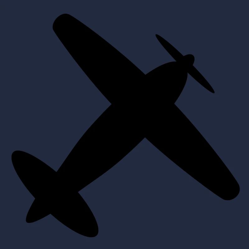 airplane__f1