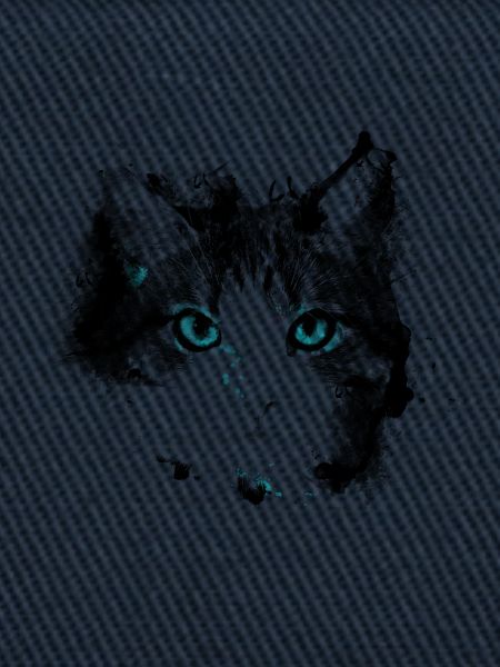 Yeux chat