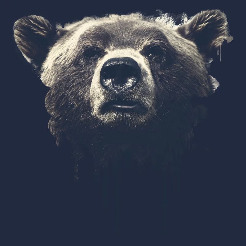 Grizzly