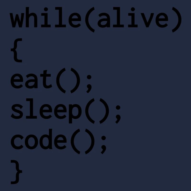 Entwickler / Informatiker / Programmierer /