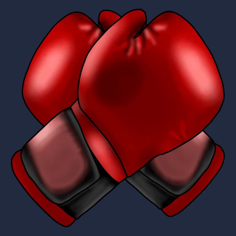 Boxhandschuhe 4