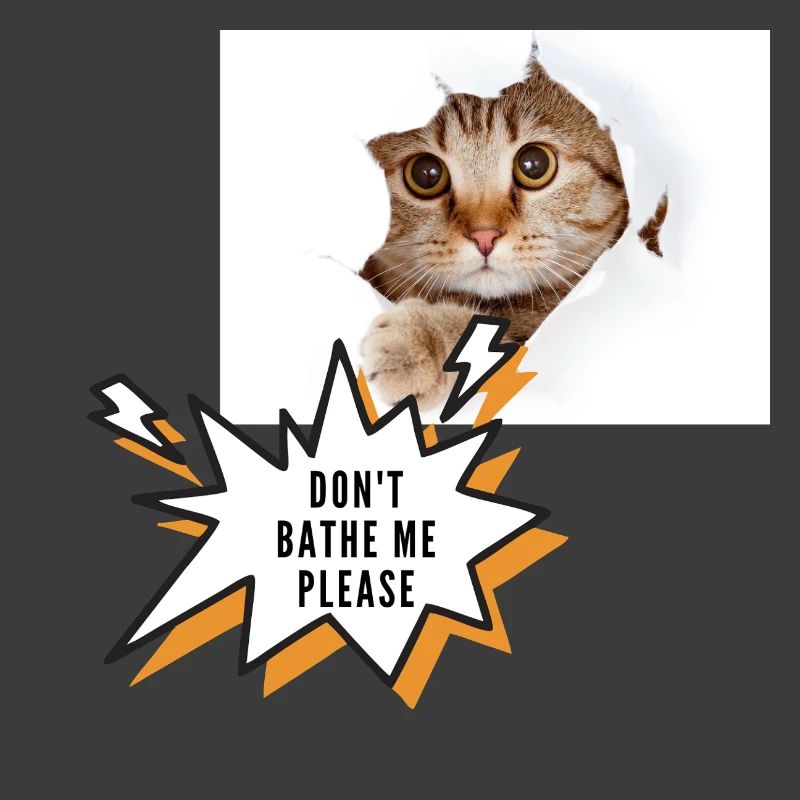 Ne me baigne pas chat