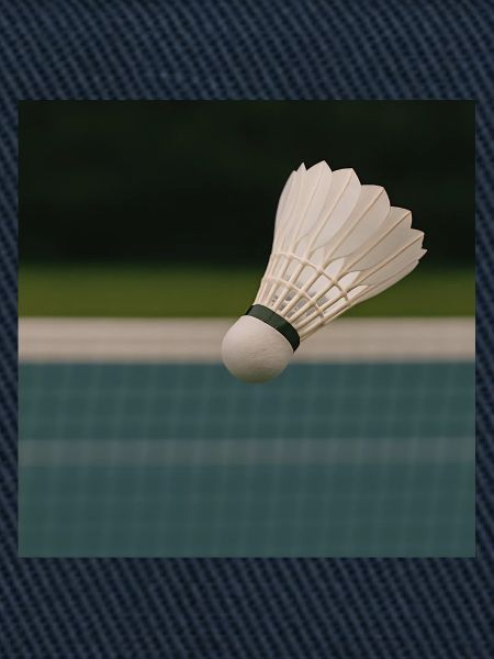 Sport - Badminton