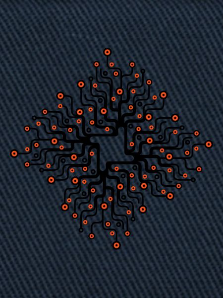 Netzwerk_2f
