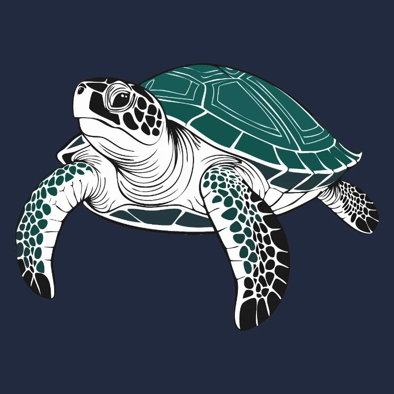 Tortue