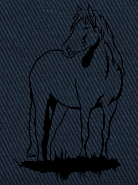 Haflinger Pony