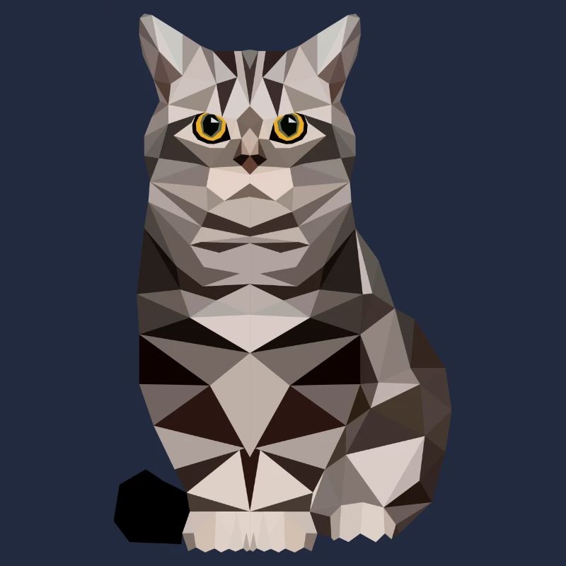 polygone maison chat chaton chat