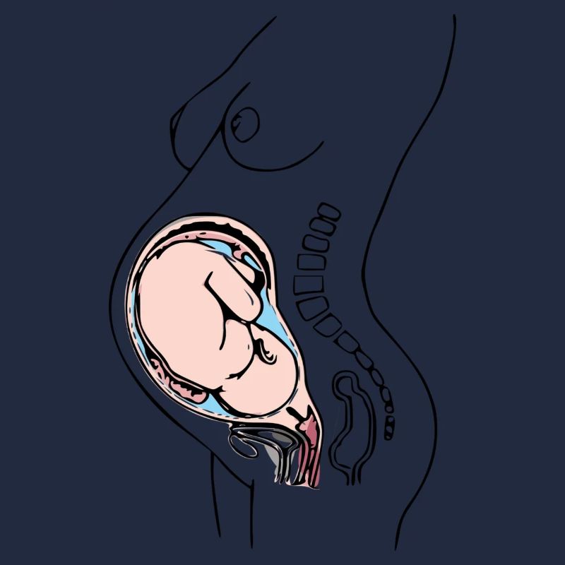 enceinte