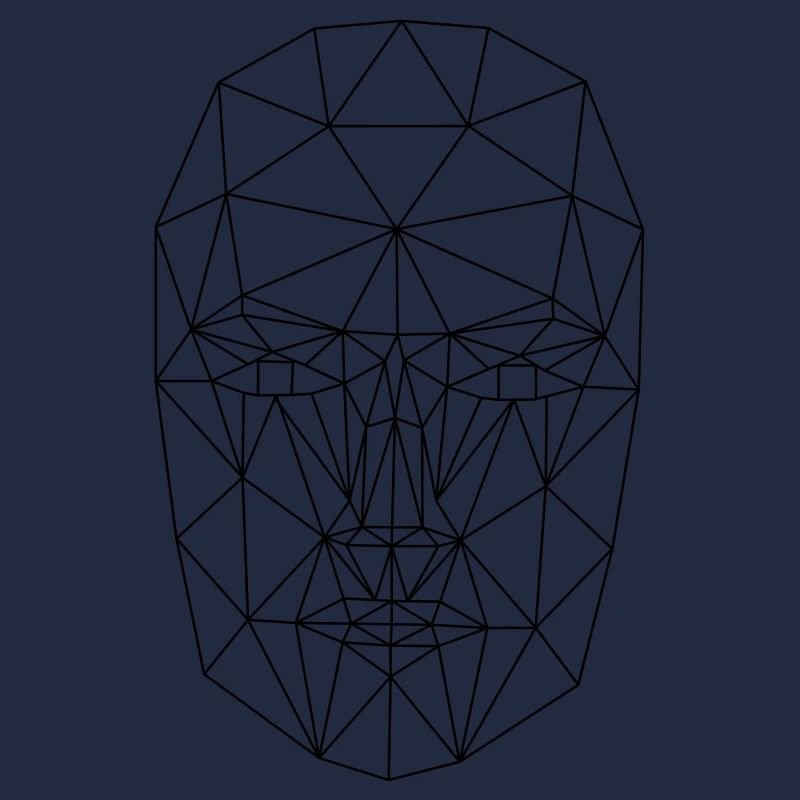 Face abstract wireframe