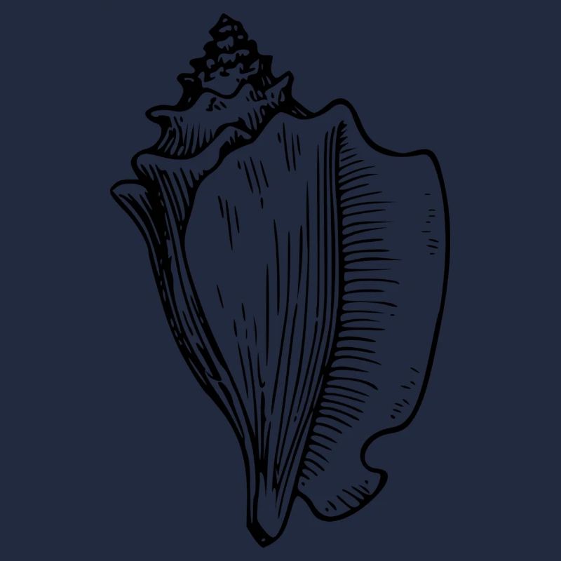 conch 48143 1280