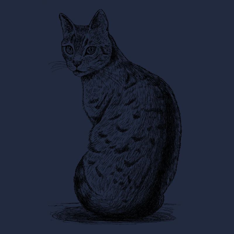 Katze_schaut_nach_hinten