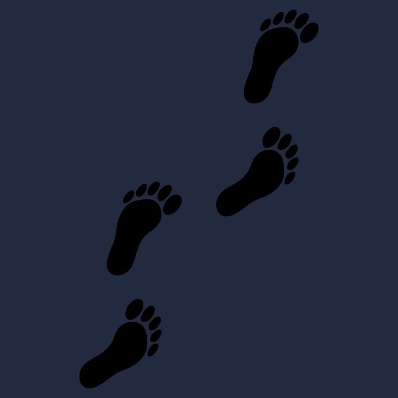 feets_f1