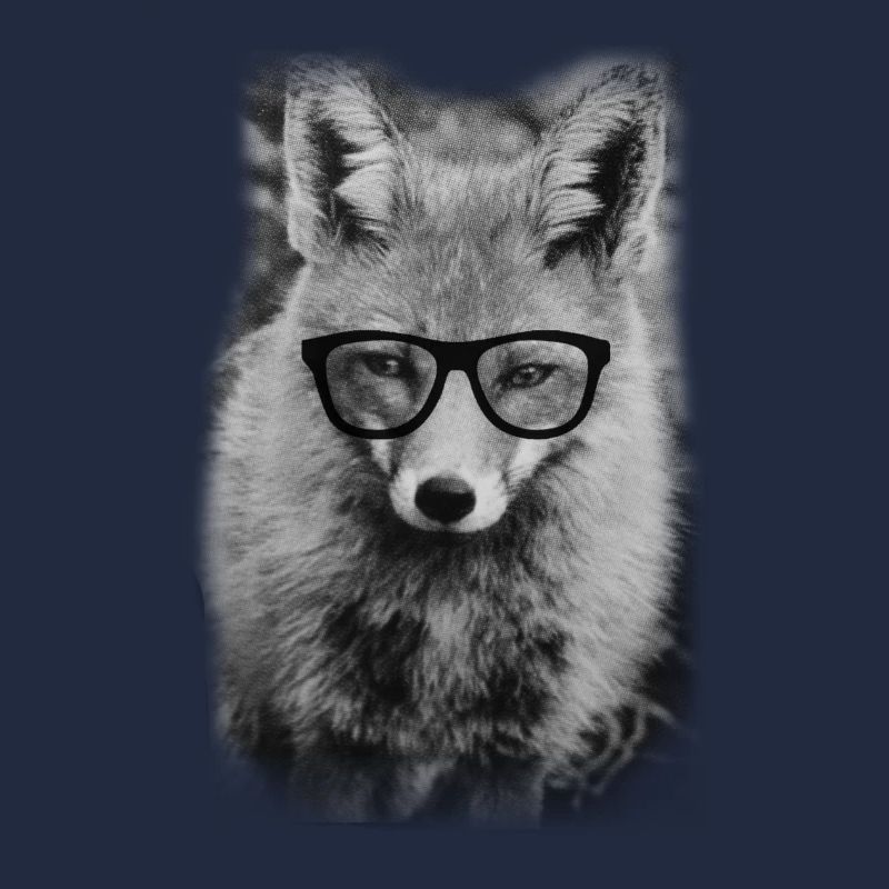 Nerd Fox