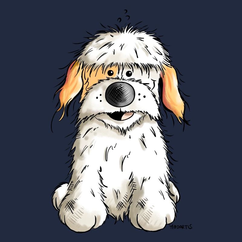Funny Havanese