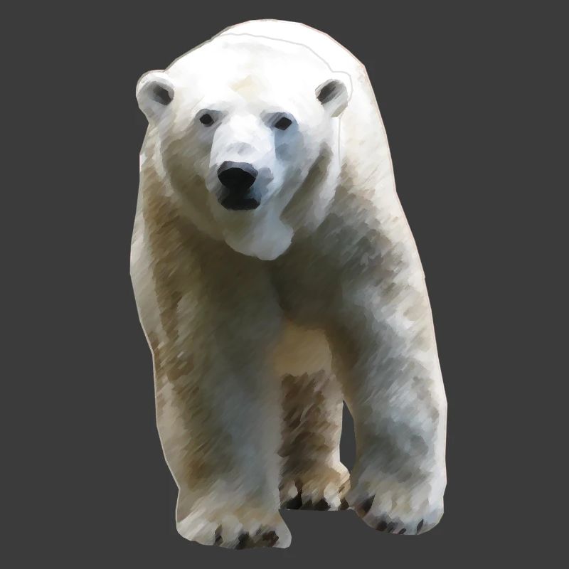 Polar Bear - Eisbär