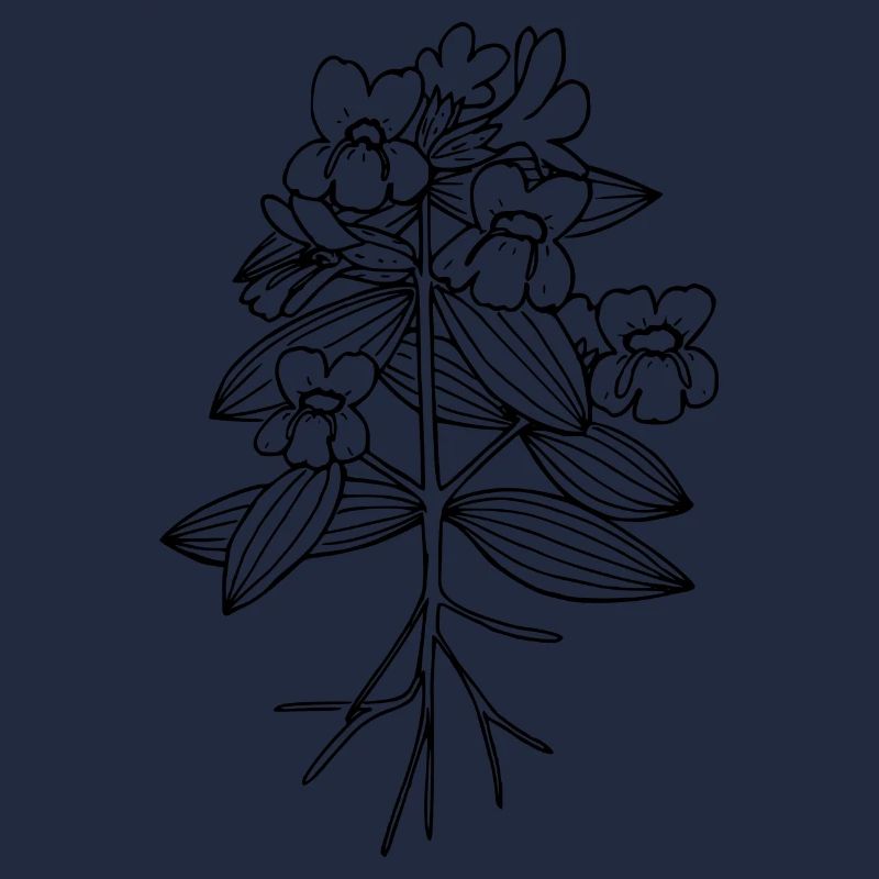 Cusick s monkeyflower