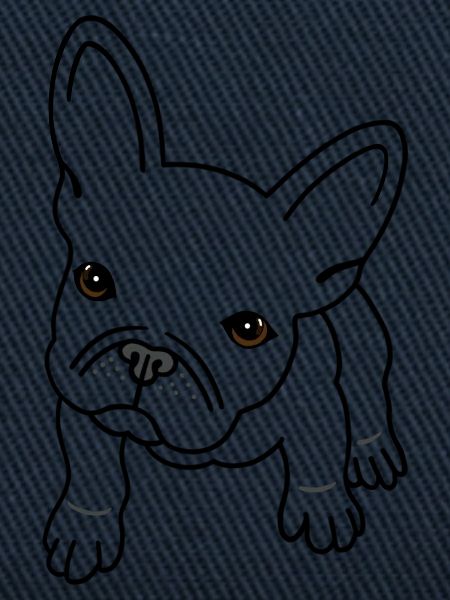French Bulldog