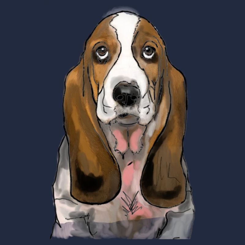 Basset