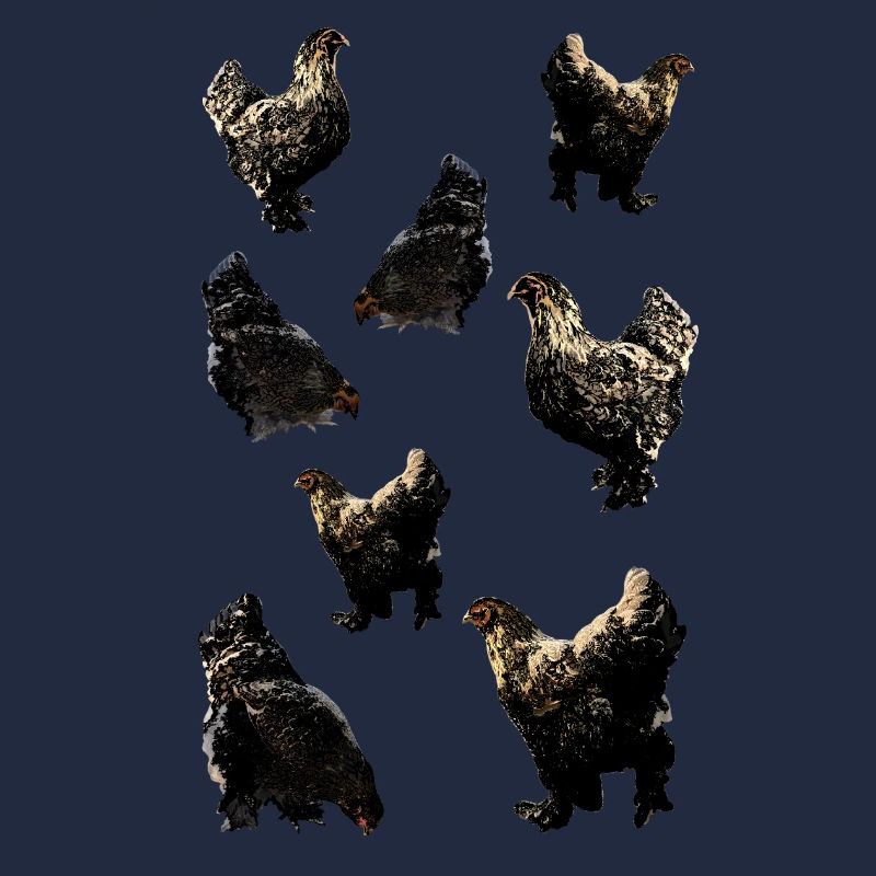 Poulets