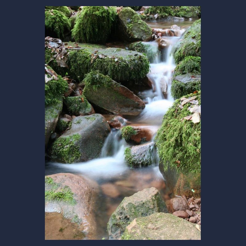 WALDBACH NAGOLDTAL