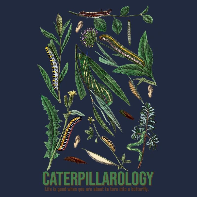 Caterpillarology Nature Study