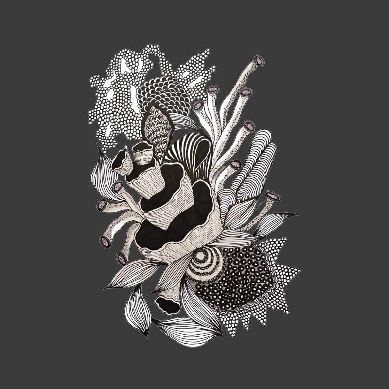Illustration monochrome de fleurs de panda