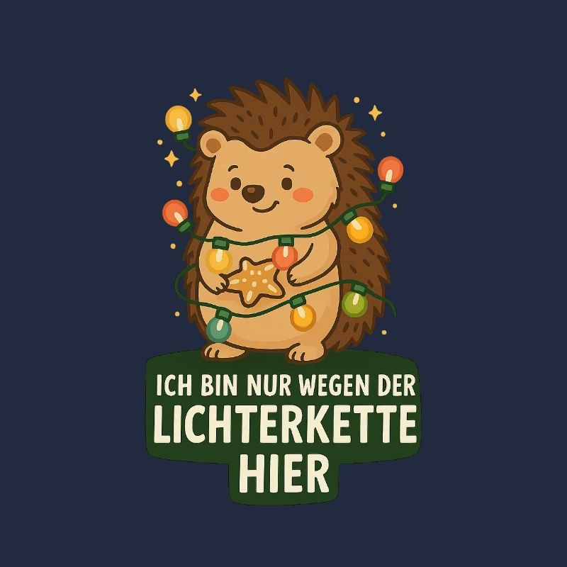 Igel mit Lichterkette