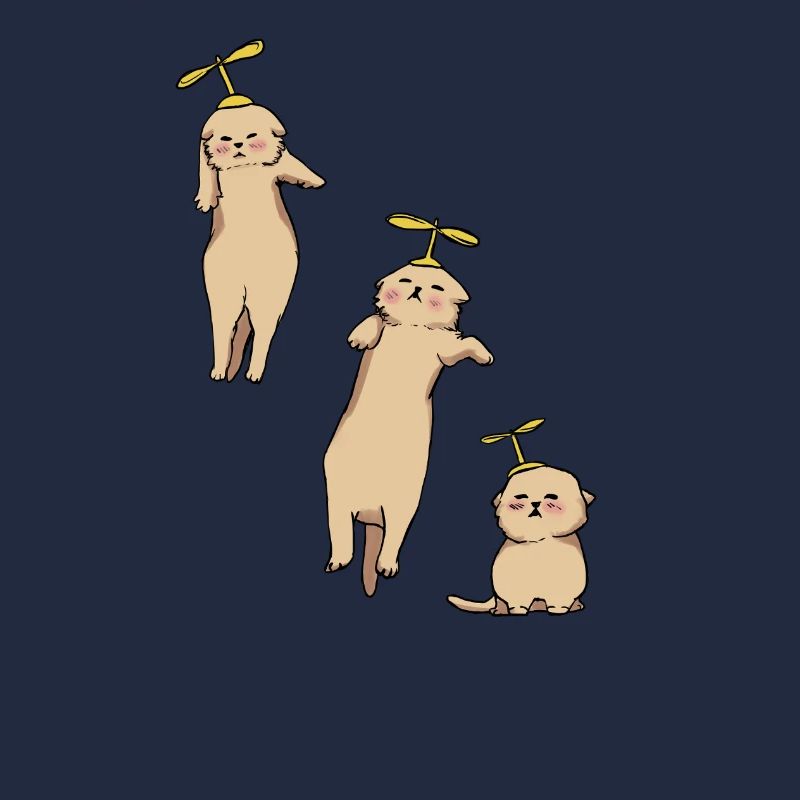 Kittens Helicopter