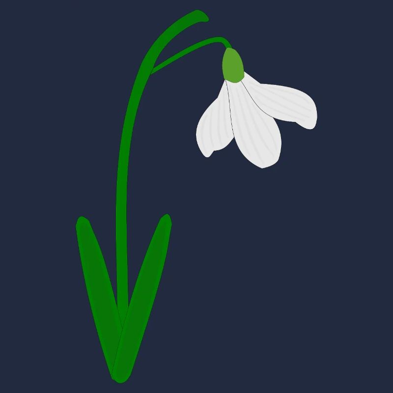 Perce-neige Mois de naissance de janvier Fleur Anniversaire