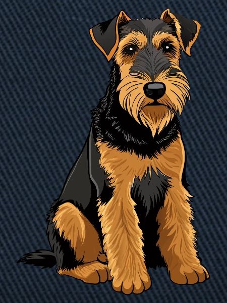 Airedale Terrier-Hund