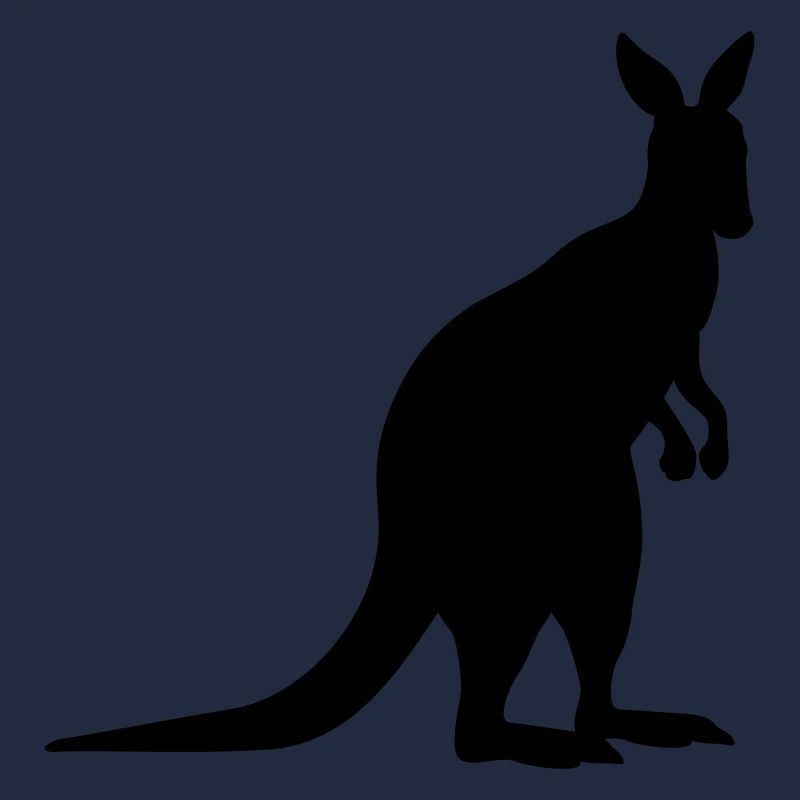 kangaroo animal